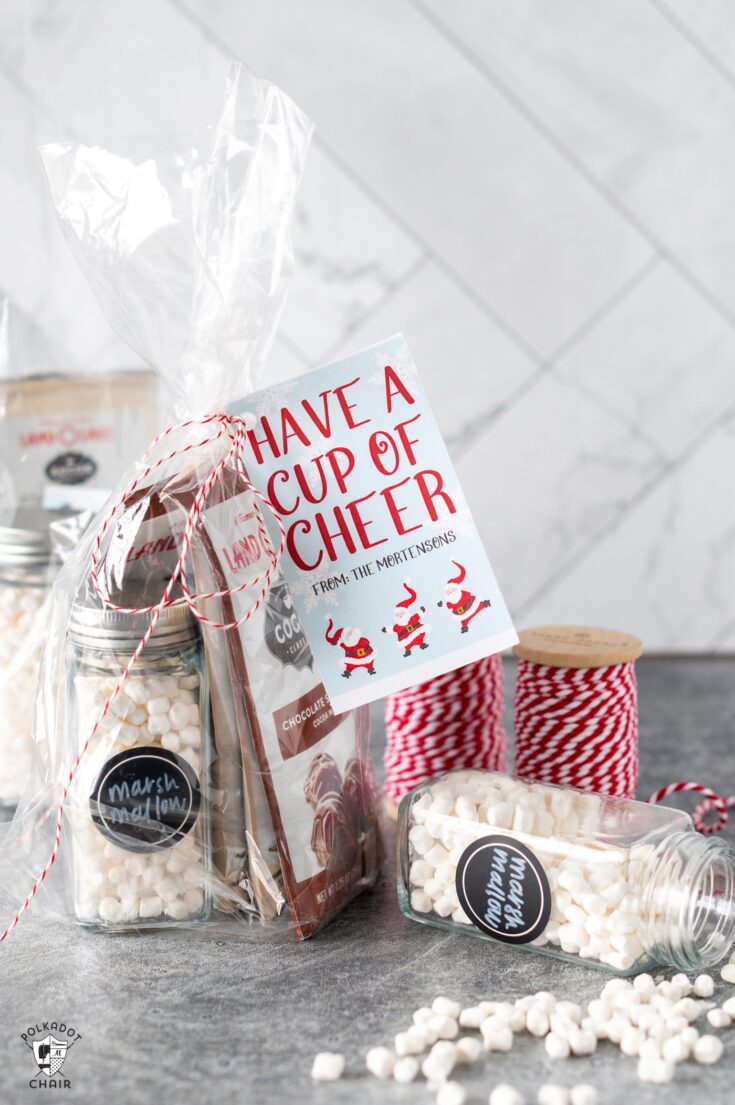 Cookie Dough Holiday Neighbor Gift - Crazy Little Projects