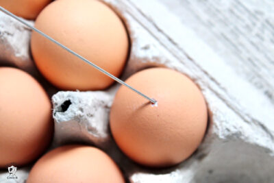 needle poking into egg