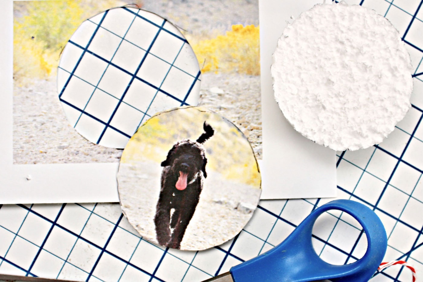 photo and styrofam ball on white cutting mat