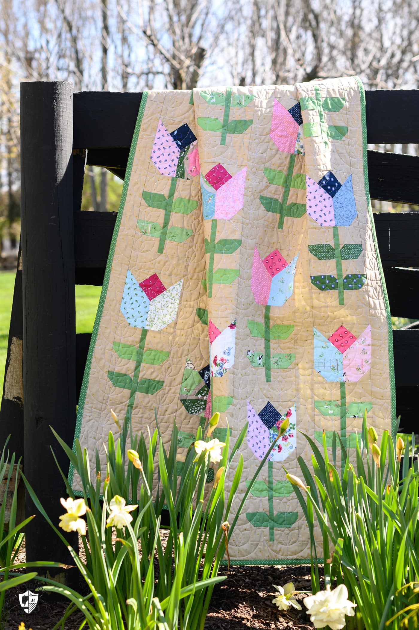 Tulip quilt in garden with daffodils