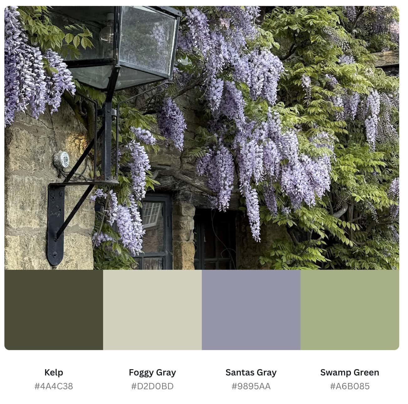 diagram of colors extracted from photo