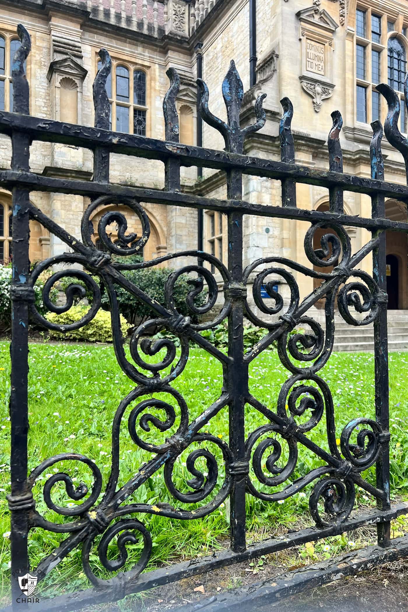 close up of fence